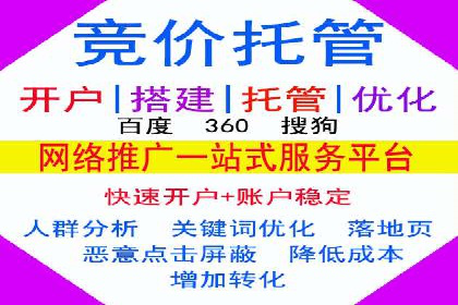 SEM代理服务：案例分享，效果显著